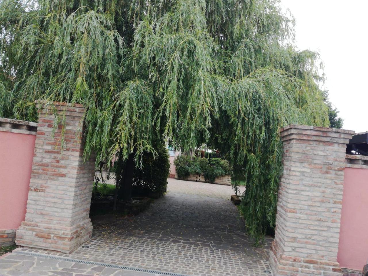 Agriturismo Ferretti Villa Massa Lombarda Exterior foto
